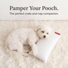 image:imagePipsqueak Microfiber Pillow  Small Mini Tiny  11 x 7 in  Perfect for Travel Cars Airplanes Camping Dogs Toddlers Kids Lumbar Knees and Neck  Ages 2 Yrs and UpGray