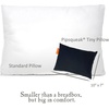 image:imagePipsqueak Pillow  Small Mini Tiny  11 x 7 in  Perfect for Travel Cars Airplanes Camping Dogs Toddlers Kids Lumbar Knees and Neck  Ages 2 Yrs and UpBlack
